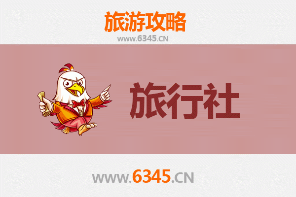 泸州龙马潭旅行社精选推荐与深度游玩攻略